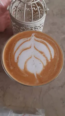 اسپرسو ساز جمیلای مدل CRM-3005E