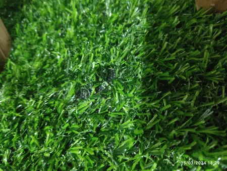 چمن مصنوعی مدل 25 میل سایز 50x100 سانتی متر