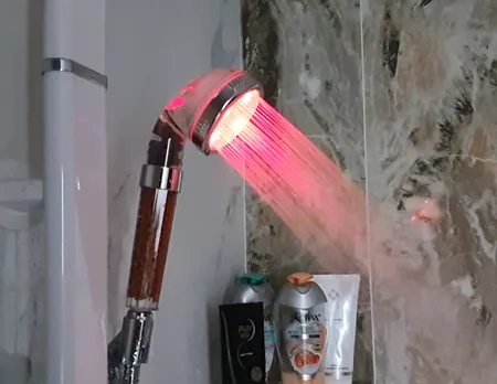 سردوش حمام مدل B590