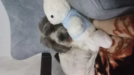 عروسک طرح خرگوش مدل رنگین کمان و ابر ارتفاع 40 سانتی متز