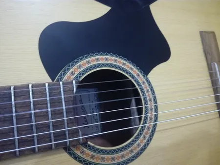 گلپیدور گیتار مدل B050