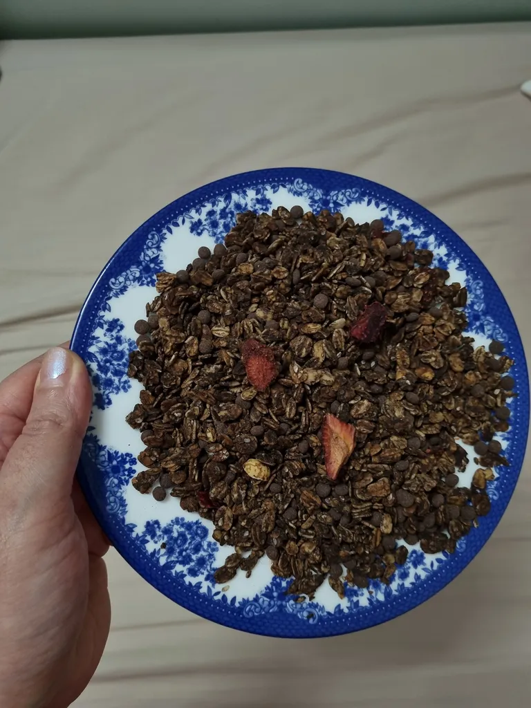 گرانولا شکلاتی فام لند - 500 گرم