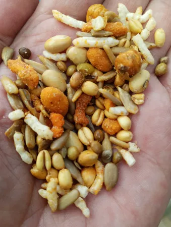 آجیل سلامت اسمابانو - 700 گرم بسته 2 عددی