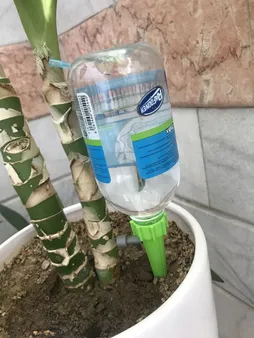 فیتیله آبیاری قطره ای مدل cj122 مجموعه ۲ عددی