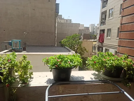 گل طبیعی ناز مدل AMS01