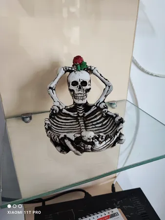 زیرسیگاری طرح اسکلت کد HE-001