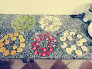 تجریه خرید میوه و سبزی خشک کن سایا مدل GP 103