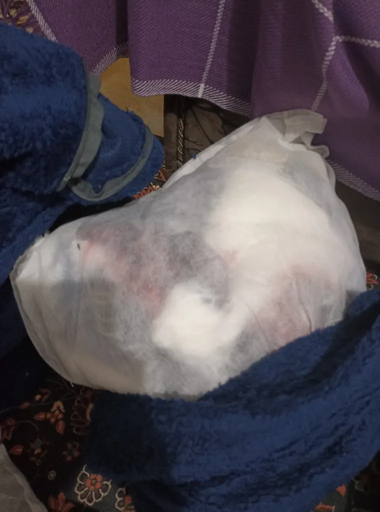 کوسن مدل پارچه تدی کد CU001A011