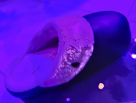 دمپایی حوله ای زیتون مدل جلو بسته BK.1854