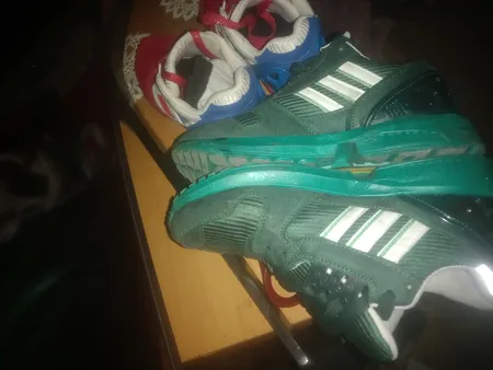 محافظ کفش مدل torino کد sh-2021