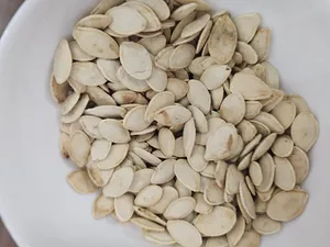 تجریه خرید تخمه کدو گوشتی چاپار مقدار 400 گرم