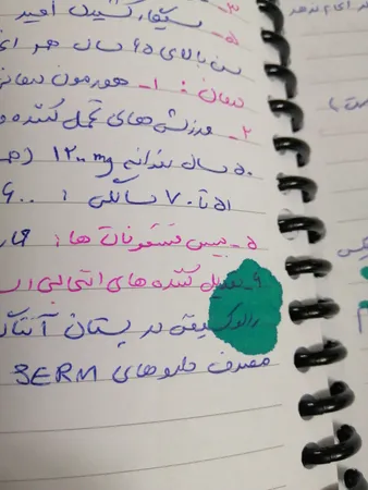 ماژیک علامت گذار پلیکان مدل Heron مجموعه 6 عددی