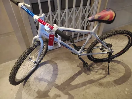 استیکر دوچرخه مدل RACE