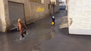 تجریه خرید ماشین بازی زرین تویز مدل Musical Ride J4