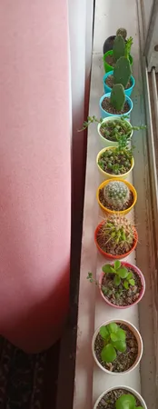 گلدان کلاسیک مدل G3006 مجموعه 10 عددی