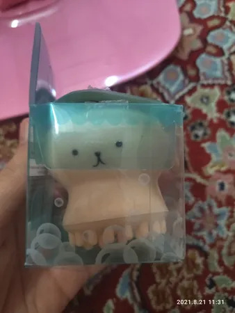 برس پاک‌سازی مدل B 0101