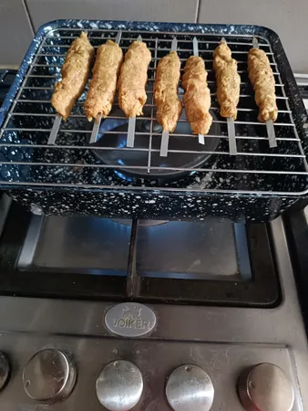 کباب پز روگازی صبا مدل رعنا