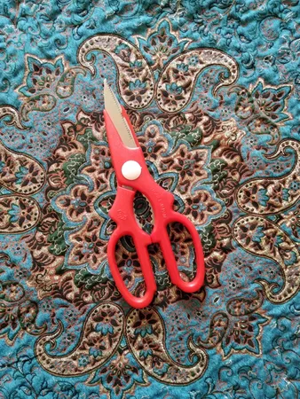 قیچی آشپزخانه کورال مدل SLN