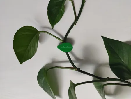 گیره نگهدارنده  مدل برگ بسته 10 عددی