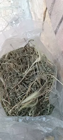 یونجه خشک خرگوش و خوکچه خرگوشک مدل A001 وزن 1000 گرم