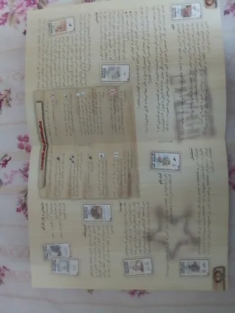 بازی فکری دی وی جیوچی مدل Bang