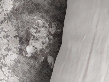 بالش مدل پر شسته شده