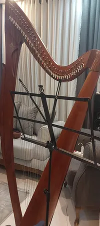 پایه نت مدل رهاوی