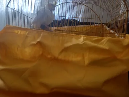 کاور قفس حیوانات مدل 1033