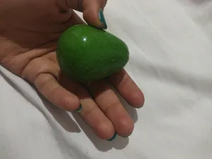 تجریه خرید بالم لب ایمنس هربال مدل آووکادو av1