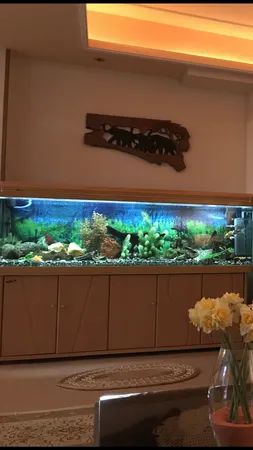 ابر فیلتر آکواریوم اکسیر مدل 61235 مجموعه 5 عددی