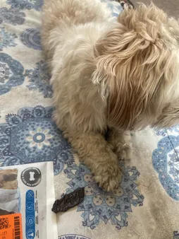 غذای تشویقی سگ ابیش مدل طحال گوساله و بره وزن 100 گرم