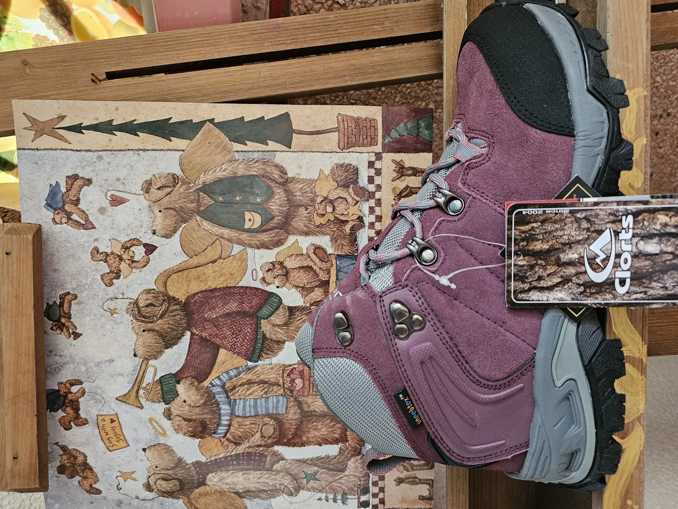 کفش کوهنوردی زنانه کلارتس مدل 3B047E