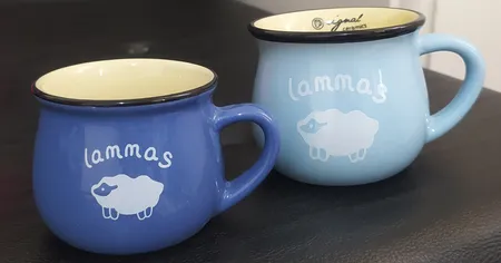 ماگ رجینال کد 1