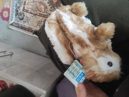 جامدادی مدل سافت سنجاب کد sqsh