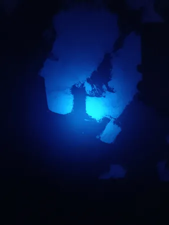 چراغ قوه دستی مدل UV 365nm filter