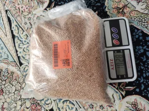 تجریه خرید غذای پرندگان مدل ارزن وزن 1 کیلوگرم