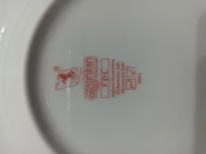 تجریه خرید سرویس غذاخوری 5 پارچه کودک چینی زرین ایران سری ایتالیا اف مدل بامبل‌بی درجه عالی