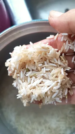 برنج قهوه ای رژیمی گیلان - 5 کیلوگرم