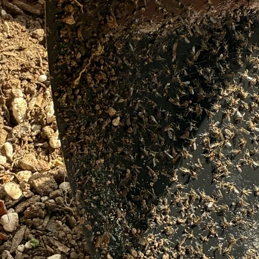 خاک سبزی کاری گیلدا کد GS12L حجم 12 لیتر