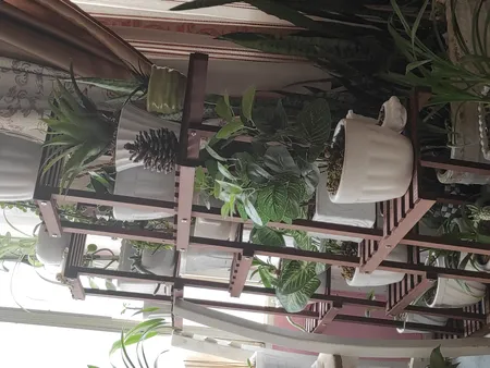 استند گل و گلدان مدل gol6