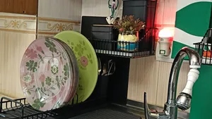 تجریه خرید بشقاب خورش خوری ایکیا مدل IDEELL