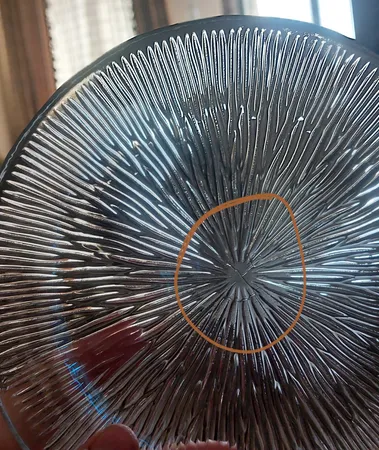 پیش دستی نوری تازه سری SOLO مدل 231001T بسته 6 عددی