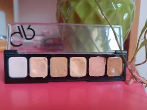 تجریه خرید پالت کانسیلر گلدن رز مدل B1151 شماره 01