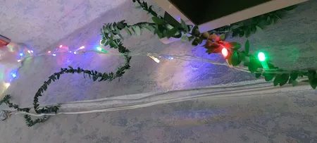 گل مصنوعی مدل ریسه برگ کد 398 طول 7/5 متر