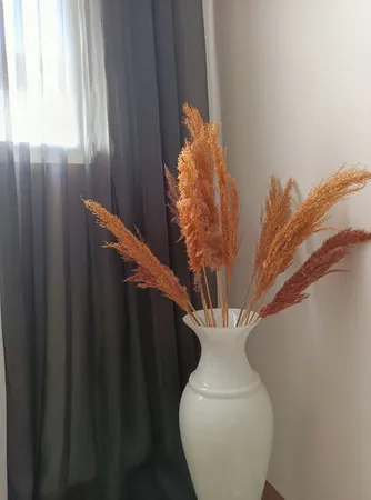 گل خشک مدل پامپاس پاک شده مجموعه 6 عددی