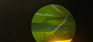 تجریه خرید میکروسکوپ مدیک مدل MH-1200