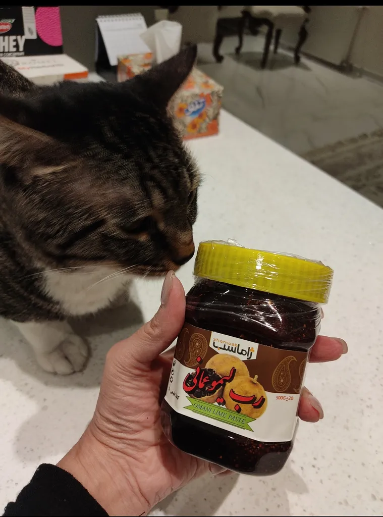 رب لیمو عمانی طبیعی سالمین - 500 گرم