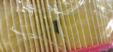 فیلتر روغن خودرو تام مدل TW 68/8 مناسب برای تیبا به همراه فیلتر هوا و فیلتر بنزین تام