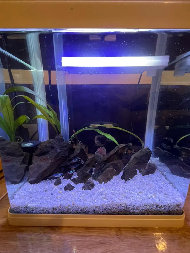 آکواریوم دلسا مدل k250