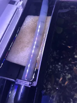 پد فیلتر آکواریوم مدل N 31235 بسته سه عددی